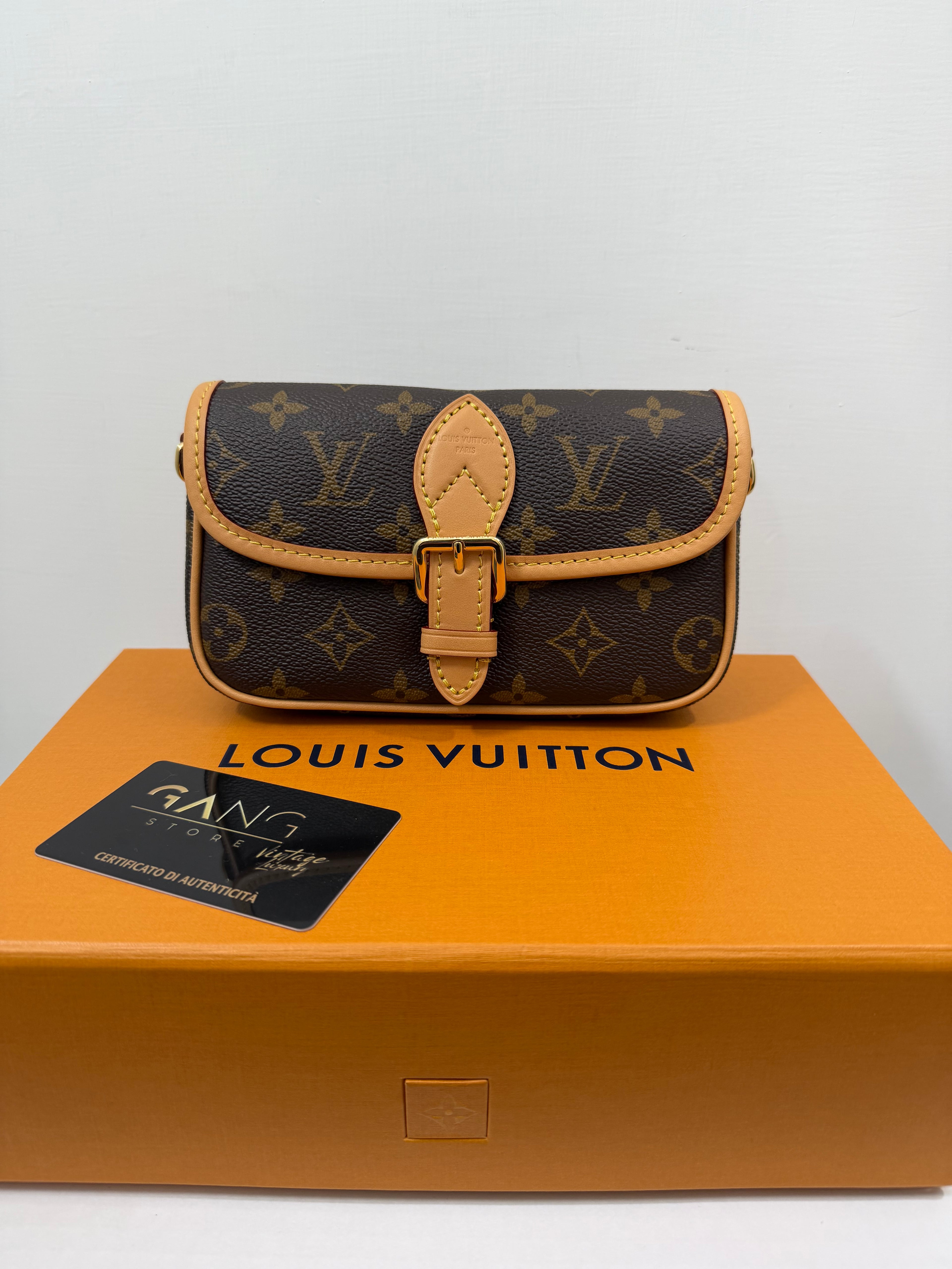 Borsa Louis Vuitton Nano Diane in tela Monogram